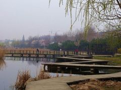 -前关湿地公园