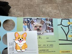 -美联众合动物医院·24h转诊中心