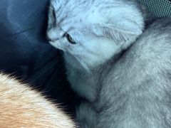 -博特宠物医院24h犬猫全科.骨科·异宠