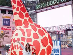-深圳龙华星河COCO City(民治店)