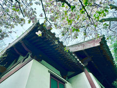 -西安青龙寺遗址景区
