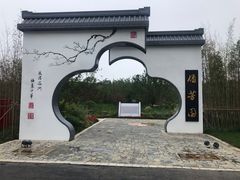 -东平国家森林公园