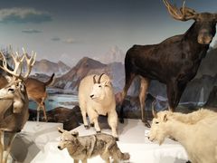 -陕西自然博物馆