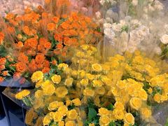 -循礼门鲜花花市(武汉循礼门店)