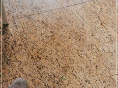-有章牛杂(石厦店)