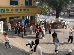 -墨江北回归线标志园