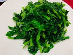 酒香豆苗-老吉士酒家(天平路店)