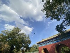 -壹零捌道·北京烤鸭(车公庄店)