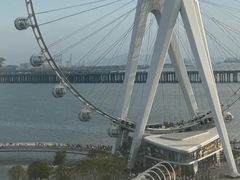 -深圳前海华侨城JW万豪酒店光之翼·港湾尚膳