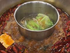 -金鼎雪山牦牛杂火锅(理县总店)