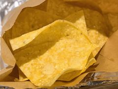 -油梨树 AVOCADO TREE(亮马桥店)