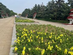 -北陵公园