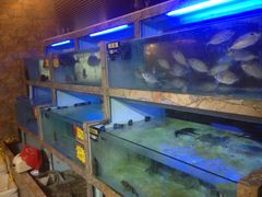 水产区-桃源尚品海鲜酒楼(京港澳高速店)