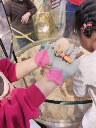 -卡通尼·Safari非洲探索乐园·生日会(金桥国际商业广场店)