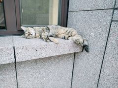 -四道口水产市场