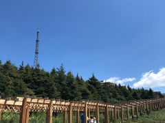 -白草畔自然风景区