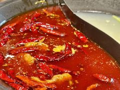 -阳阳老火锅(小南门店)