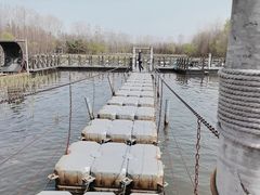 -溱湖国家湿地公园