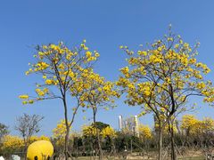-顺峰山公园