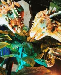 -恐龙探索乐园(磁器口店)