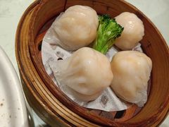 -南枝记