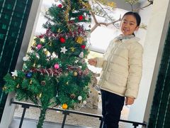 -山塘渡·苏式园林餐厅