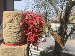-丰都鬼城名山景区