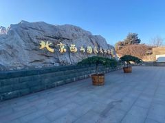 -北京西山国家森林公园