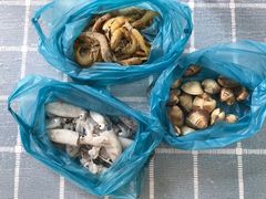 -湛江海鲜餐厅