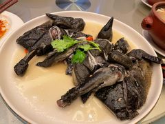 药膳鸡-沙龙酒家