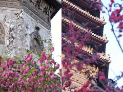 -玲珑塔公园
