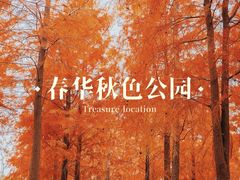 -春花秋色城市公园