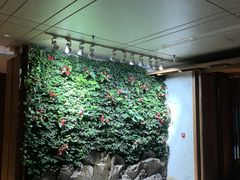 -浅深(北京北四环精品店)