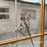 廊坊网红打卡-小春日和