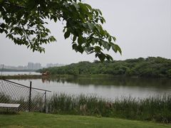 -盘龙城国家考古遗址公园