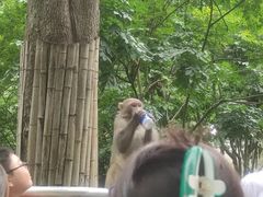 -黔灵山公园