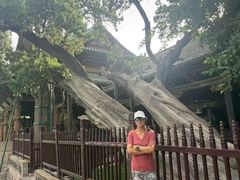 -晋祠博物馆