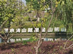 -九科绿洲
