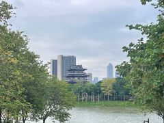 -海珠湖公园
