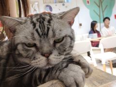 -小时光咖啡馆(北锣鼓巷店)