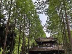 -青城山