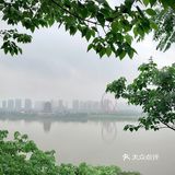 湘潭的！！湘江边美到失语的园林庭院餐厅🍃