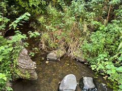 -水濂山森林公园