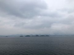 -全乐鱼馆·淳牌有机鱼直营店