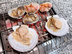 -震海贝烤贝·民俗特色店(延吉总店)