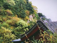 -泰山风景名胜区