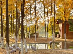 -艾溪湖湿地公园