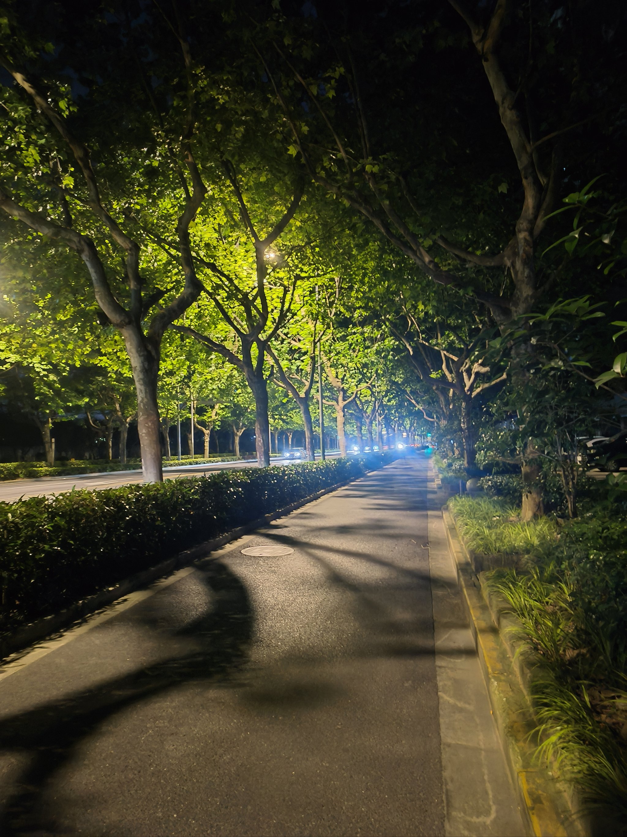 下班路上的风景