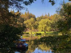 -上海共青森林公园