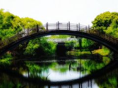 -洋湖国家湿地公园